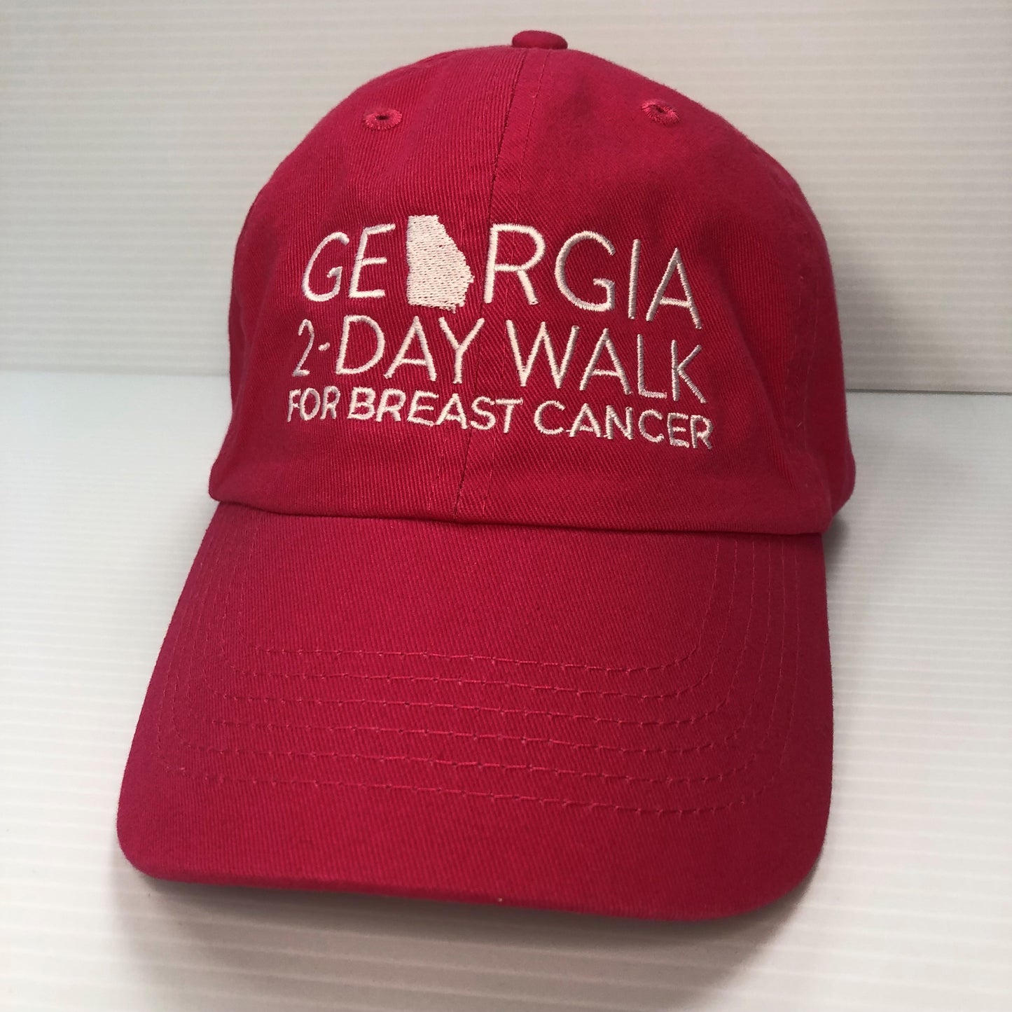 2-Day Walk Baseball Hat