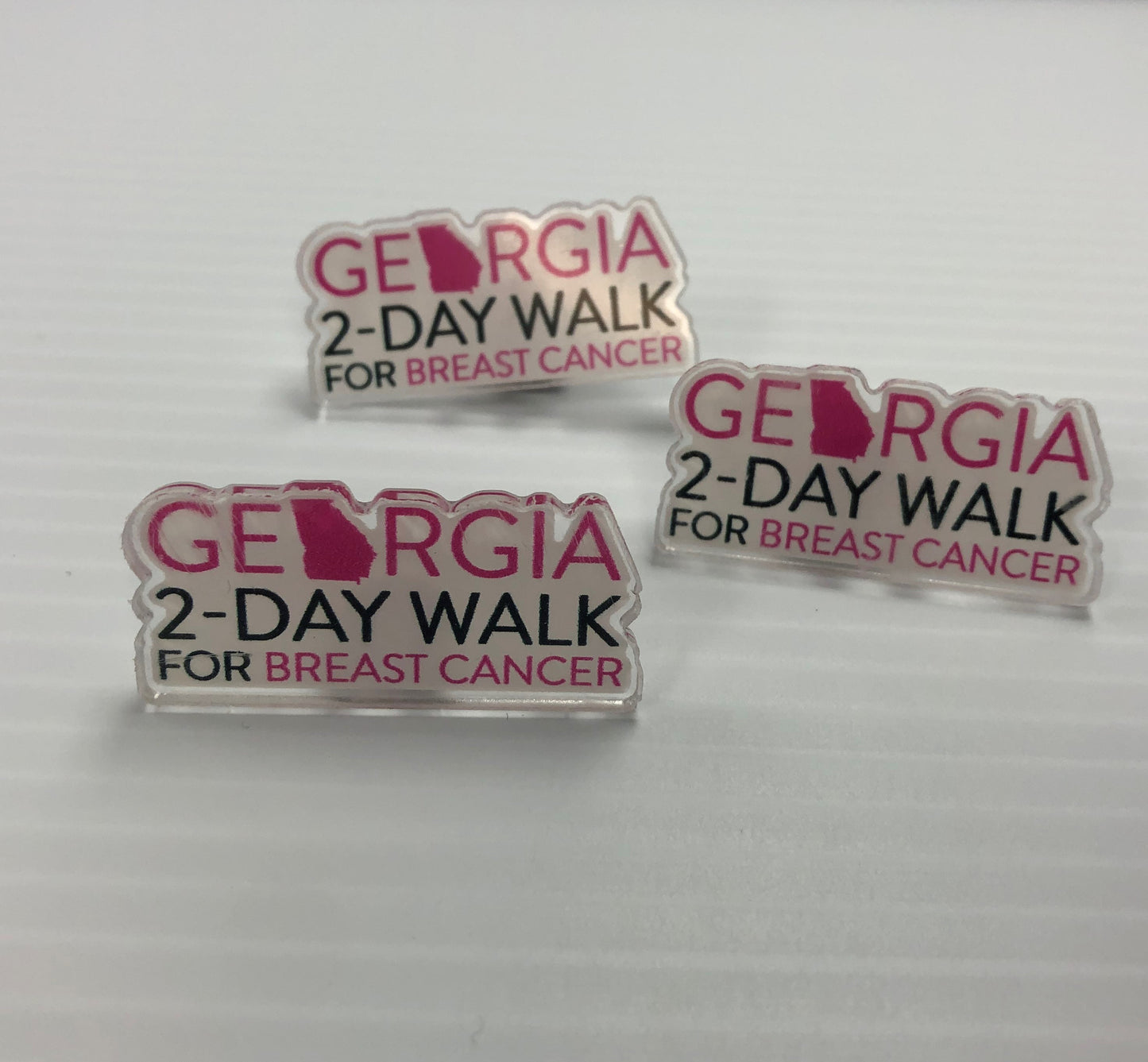 2-Day Walk Logo Pin